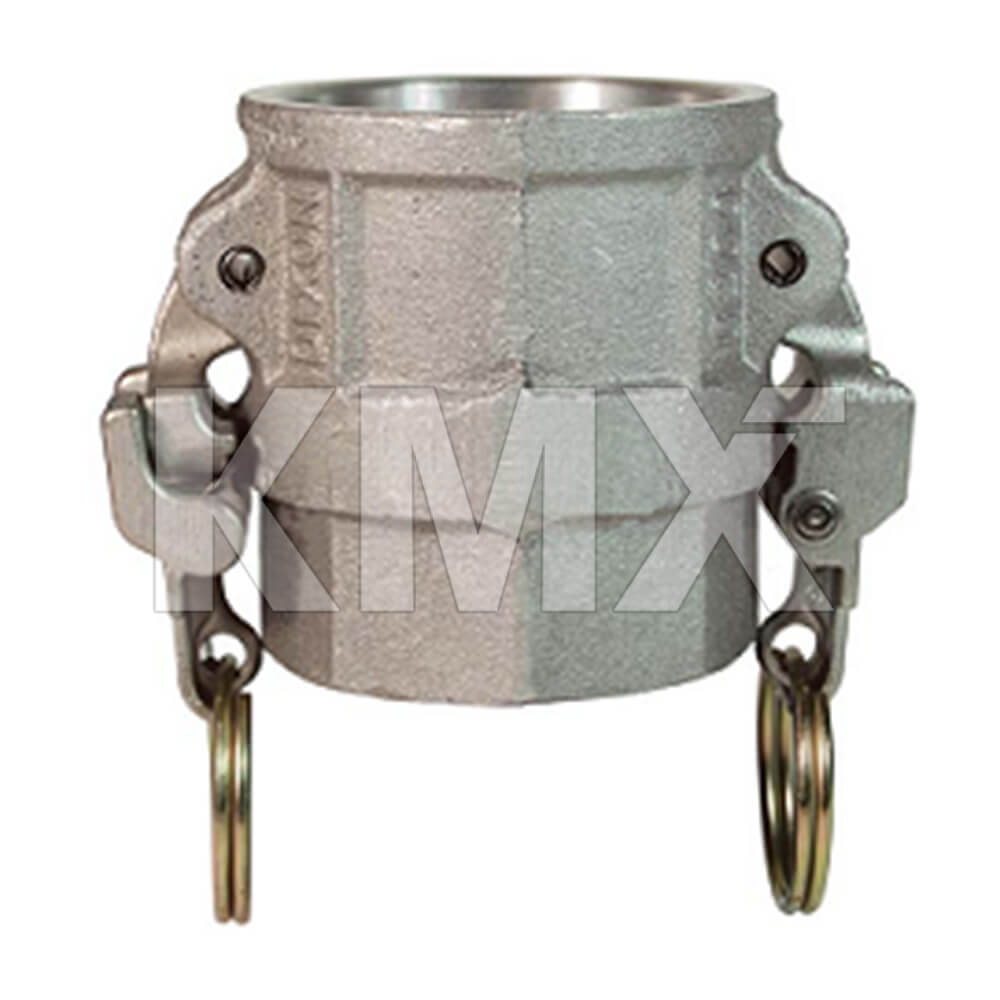  RD400EZ Camlock Hembra HI NPT, Tipo D 4" SS316 DIXON